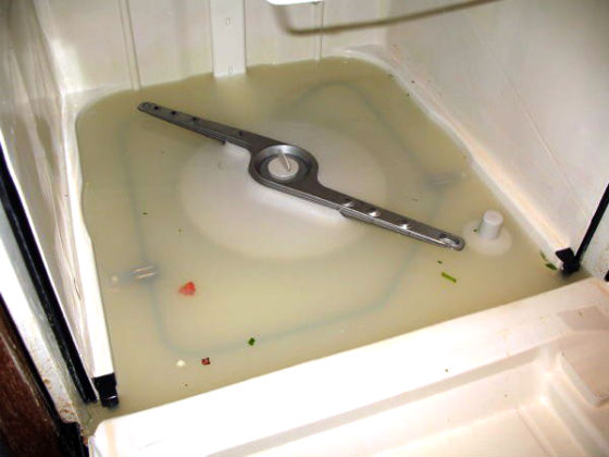 Посудомоечная машина не сливает воду | Вызов стирального мастера на дом в Дубне